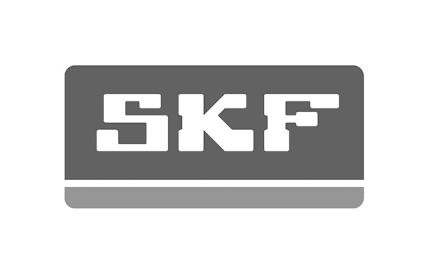 004 Skf